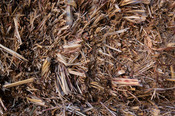 Texture close up, straw bale