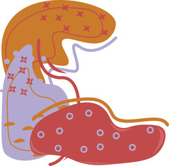 Boho Style Abstrack background Hand Draw