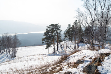 Winter landscape. View of the hills and winter mixed forest
