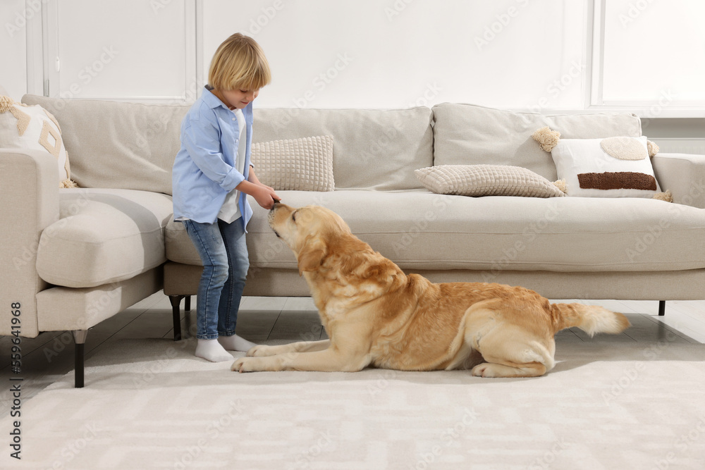 Canvas Prints Cute little child with Golden Retriever on floor at home. Adorable pet