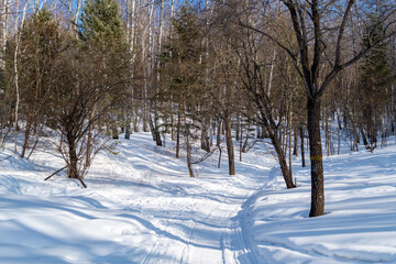 Winter landscape. A path through the winter forest