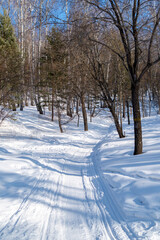 Winter landscape. A path through the winter forest