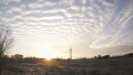 Fototapeta na wymiar Field and forest landscape in the morning, sunrise