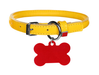 Yellow leather dog collar with bone shaped tag isolated on white