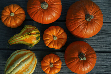 Many whole ripe pumpkins on wooden table, flat lay