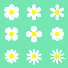 Vector illustration collection set daisy flowers spring green background,Beautiful chamomile flower isolated