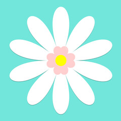 Vector illustration daisy flowers spring green background,Beautiful chamomile flower isolated