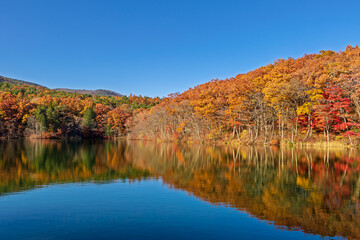 仁田沼の水鏡に映る紅葉と青空