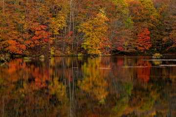 紅葉の裏磐梯・曲沢沼