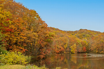 紅葉の裏磐梯・曲沢沼