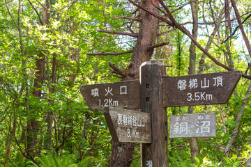 磐梯山登山道の分岐標識