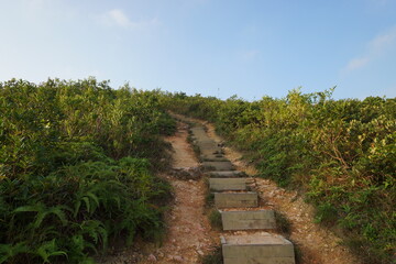 Fototapeta na wymiar narrow trail on Hong Kong mountains