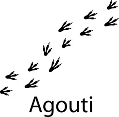 Agouti foot print vector illustration on white background a.eps