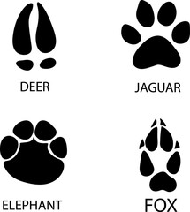 Different footprints of fox, elephant, deer, jaguar paws illustration..eps