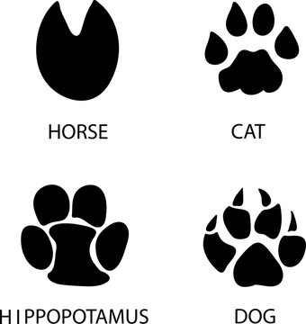 Different footprints of Hippopotamus, dog, horse cat paws illustration..eps