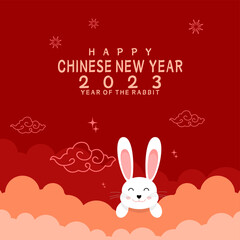  happy chinese new year with cute rabbit for social media post