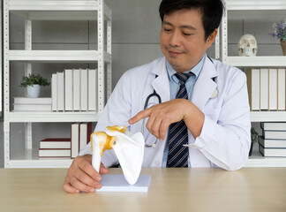 Asian Orthopedic Surgeon in white gown and stethoscope pointing at human skeleton shoulder bone...