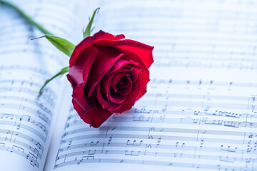 楽譜の上の赤いバラ