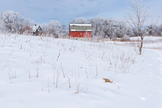 snow covered prairie and barn of rural landscape in mendota heights minnesota