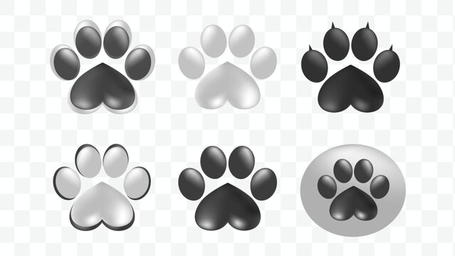 Paw vector foot trail print. Dog, puppy, cat, bear, wolf silhouette. Animal paw print trail on transparent background. Vector illustration
