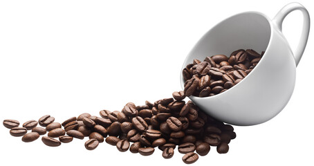 Coffee beans in coffee cup - 559657312