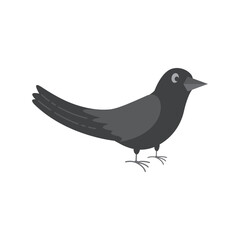 Bird wing Dove Logo