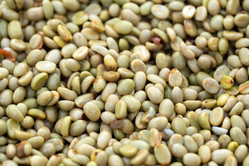 Coffee beans drying in the sun. Coffee plantations at coffee farm