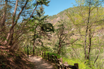 Mountain hiking road at Gijang Yongso Well-Being Park in Busan, Korea