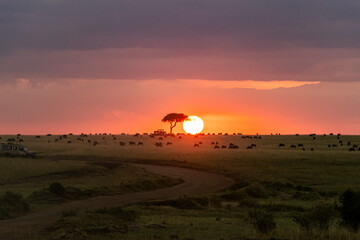 Panorama colorful sunset in Kenya. Safari route path with acacia trees in Africa