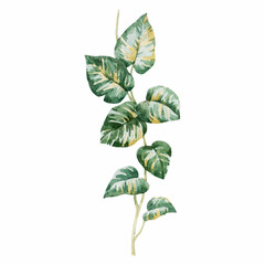 Beautiful stock clip art illustration with watercolor hand drawn tropical palm tree.