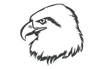 Eagle face vector illustration