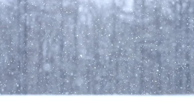 雪が降る
