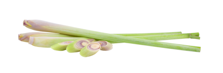 fresh Lemongrass on transparent png