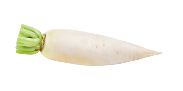 fresh white radish on transparent png
