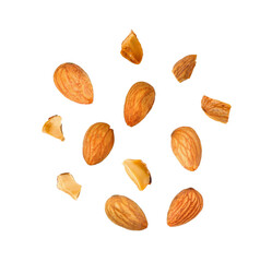 almonds isolated on transparent png
