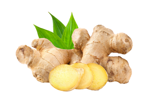 ginger on transparent png