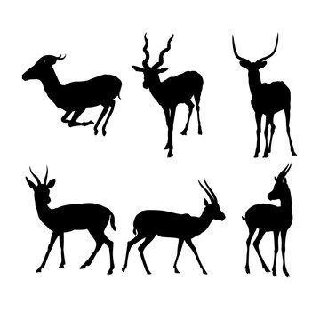 Set of silhouettes of african antelope vector design