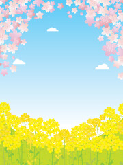 春の桜と菜の花の風景イラスト