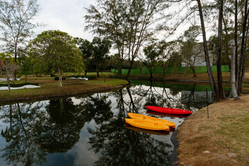 Yellow and red kayaks on the water off the coast in a beautiful park