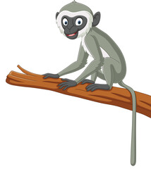 Cute langur monkey cartoon on tree branch