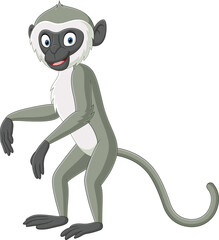 Cute grey langur monkey cartoon