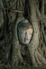 Famous Buddha's head buried in the tree located in War Mahatat,  Ayutthaya historic park, Thailand