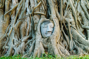 Famous Buddha's head buried in the tree located in War Mahatat,  Ayutthaya historic park, Thailand