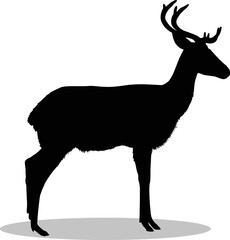 Deers Silhouette, cute Deers Vector Silhouette, Cute Deers cartoon Silhouette, Deers vector Silhouette, Deers icon Silhouette, Deers Silhouette illustration, Deers vector																									