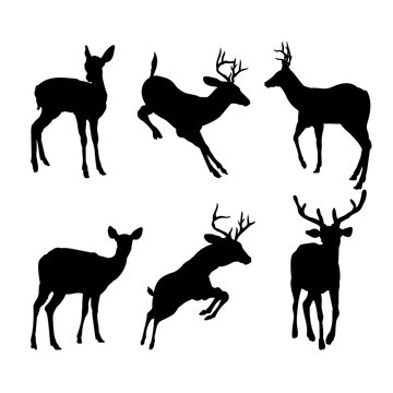 Set of silhouettes of red deer vector design