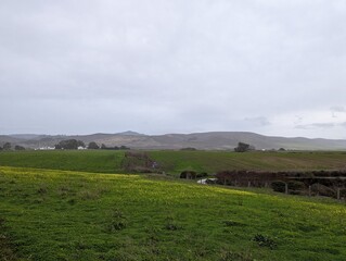 Obraz premium Half Moon Bay farmland, farm field landscape
