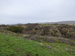 half moon bay coastside, california coast, pacific ocean coastline, breathtaking ocean view, west coast, cliffs, beautiful beaches, ocean, view of beach, sunny day, charming coastline
