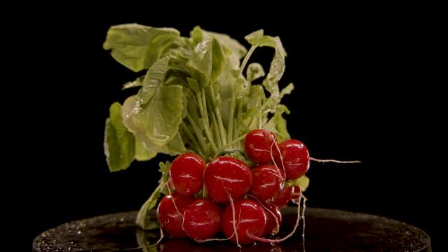 gl&auml;nzende Radieschen