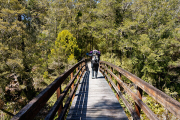 Footbridge over the Brown River at the start of the Heaphy Track.