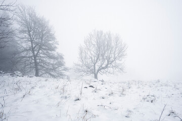 Winterlandschaft in der Rhön- Wanderung zum Steinkopf(888m) 33